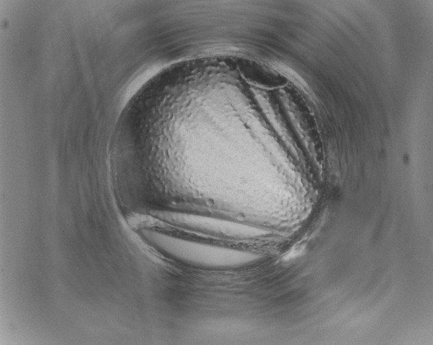 X0000076271047200610122250