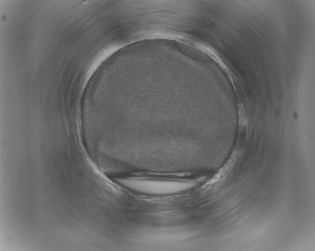 X0000076271048200610122250