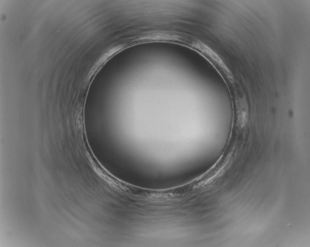 X0000076271049200610122250