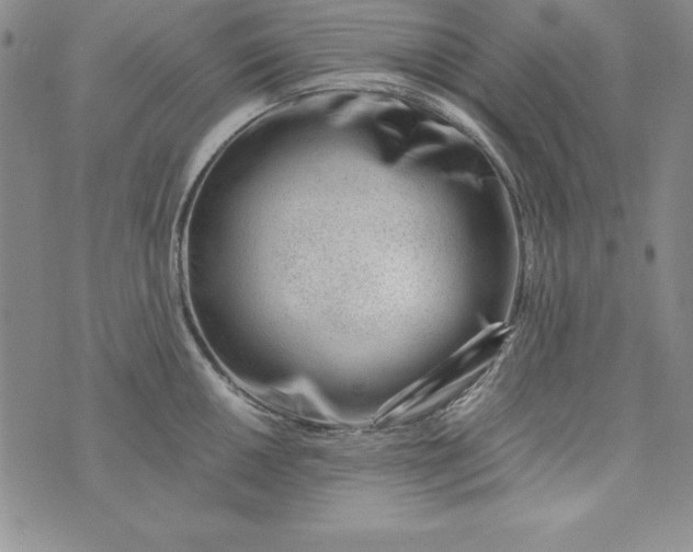 X0000076271050200610122250