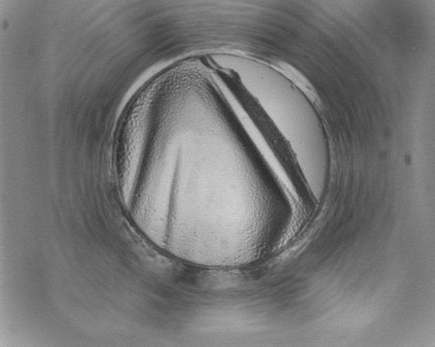 X0000076271052200610122250