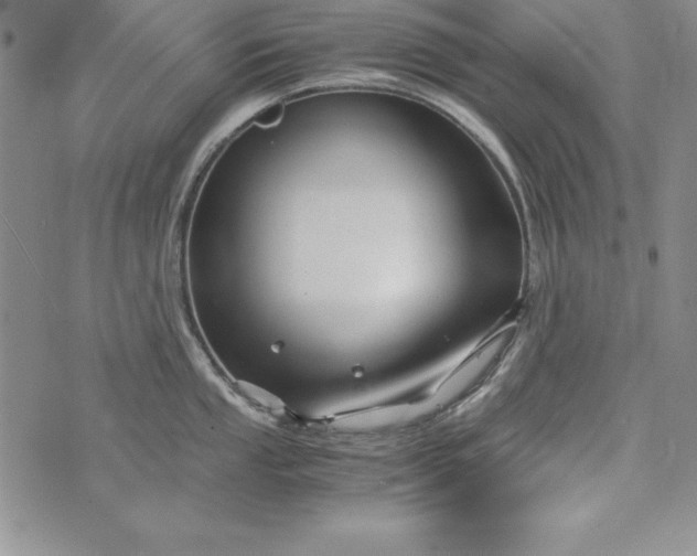 X0000076271053200610122250