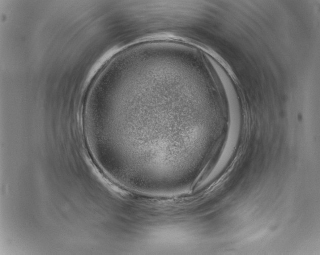 X0000076271054200610122250