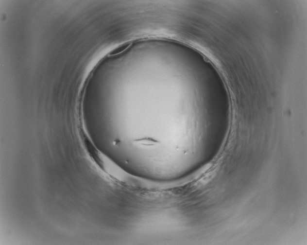 X0000076271056200610122250