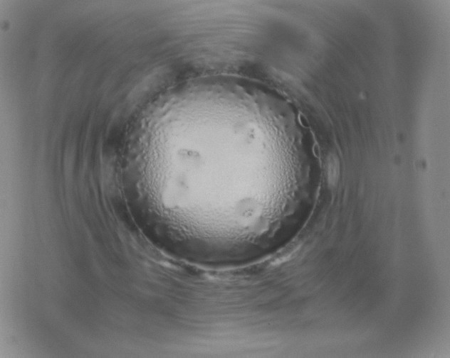 X0000076271059200610122249