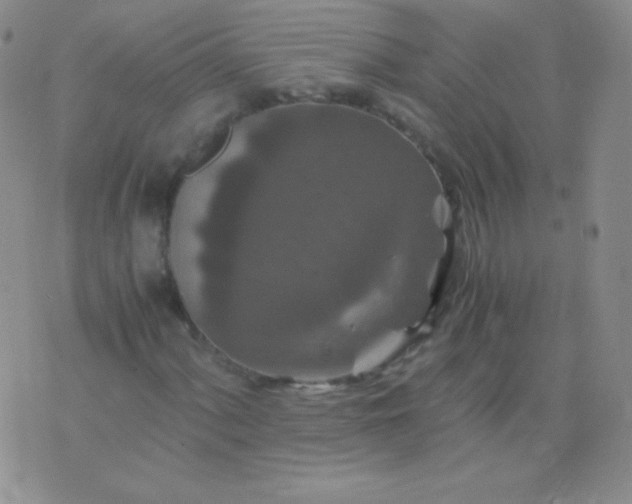 X0000076271060200610122249