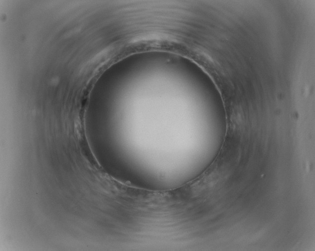 X0000076271062200610122249