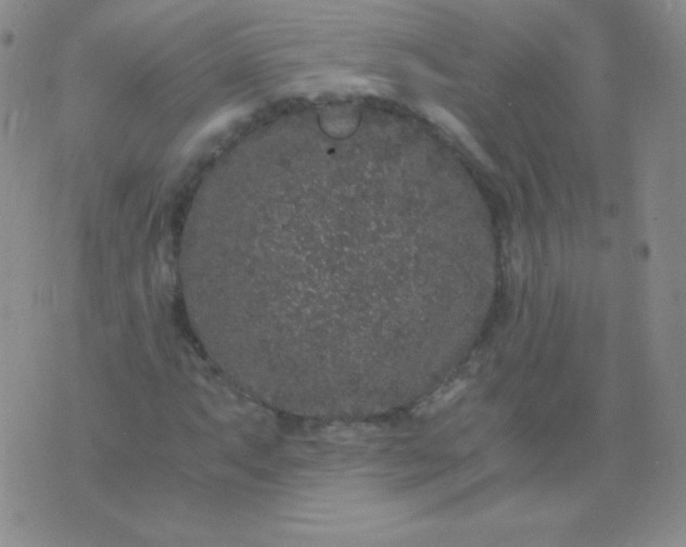 X0000076271063200610122249