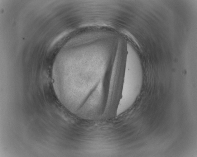 X0000076271064200610122249