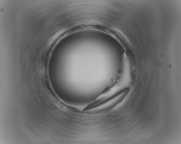 X0000076271065200610122249