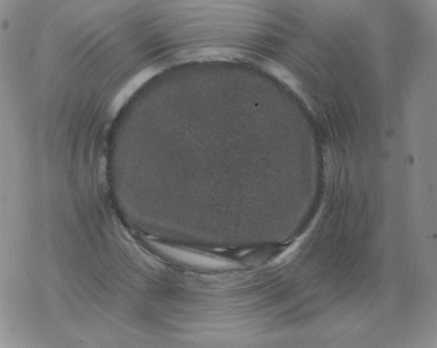 X0000076271066200610122249