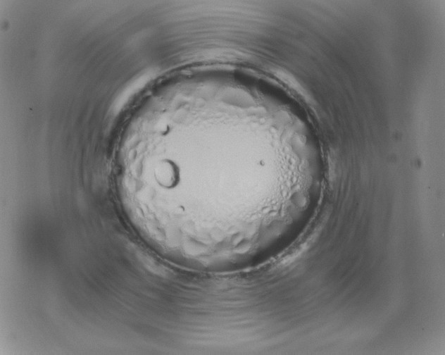 X0000076271067200610122249