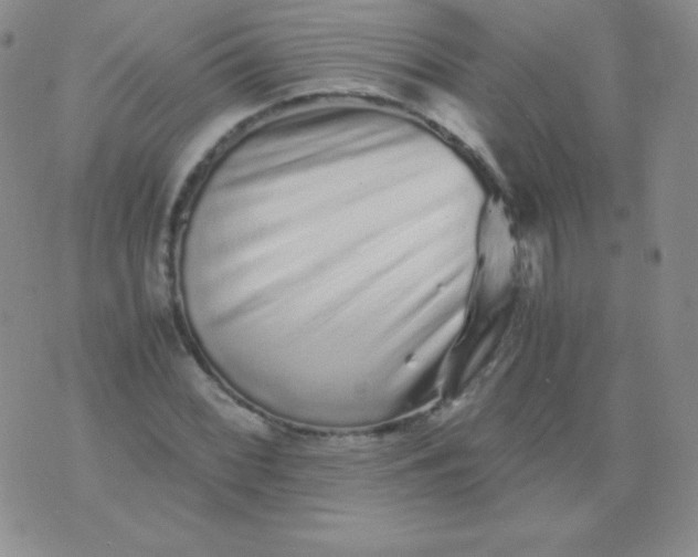 X0000076271068200610122249