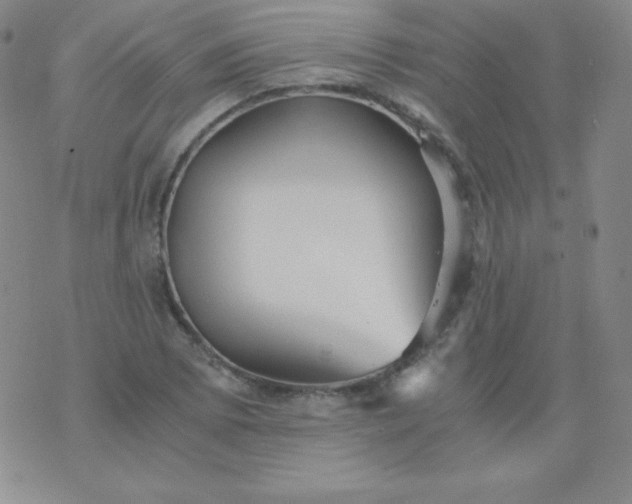 X0000076271073200610122249