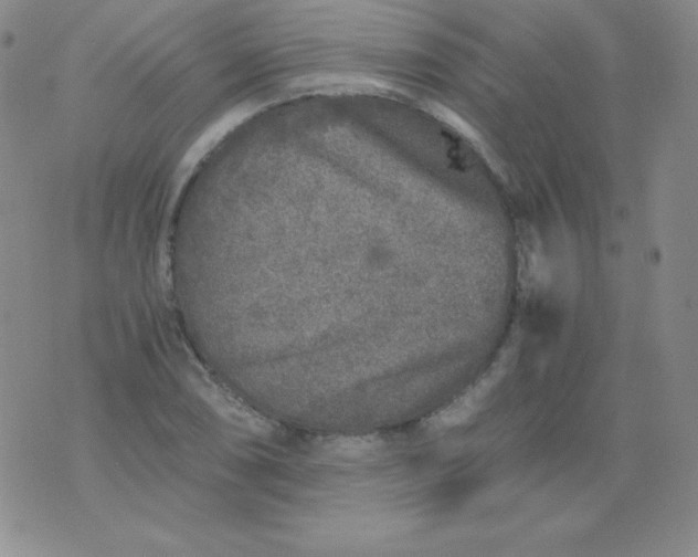 X0000076271074200610122249