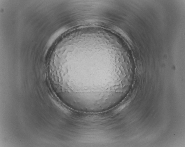 X0000076271075200610122249