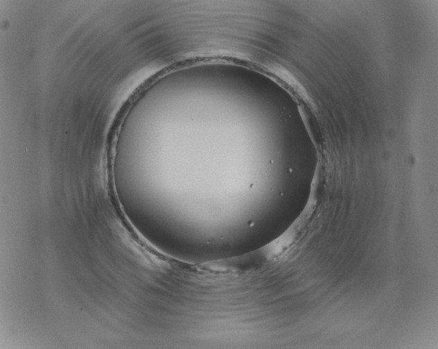 X0000076271076200610122249