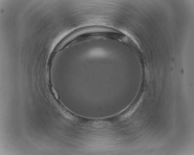 X0000076271077200610122249