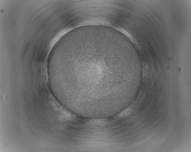 X0000076271078200610122249