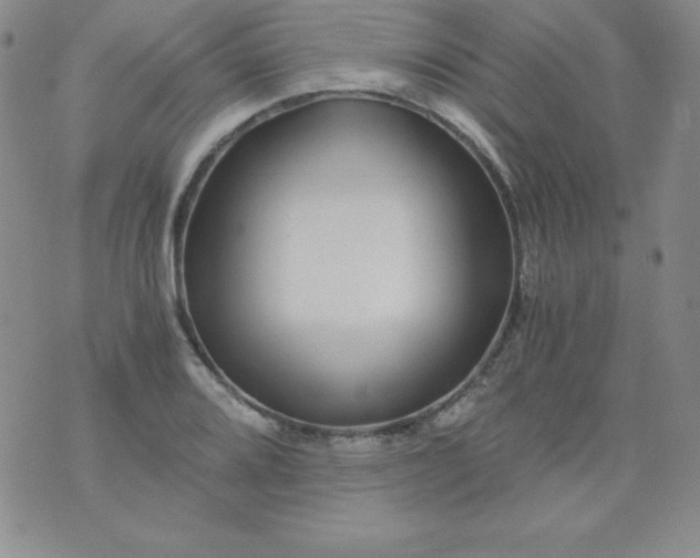 X0000076271080200610122249