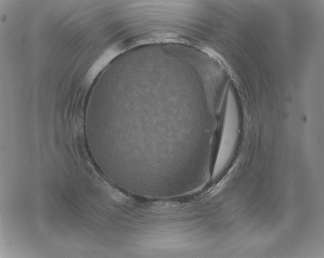 X0000076271081200610122249