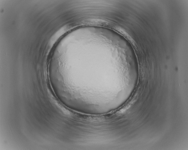 X0000076271083200610122249