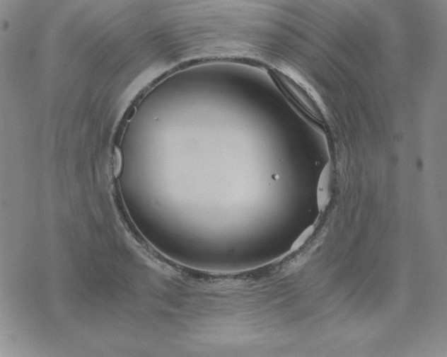 X0000076271085200610122249