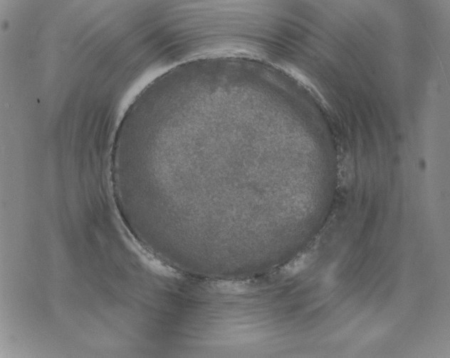 X0000076271086200610122249