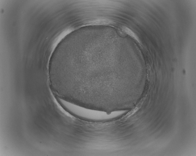 X0000076271087200610122249