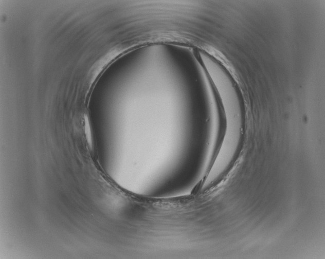 X0000076271089200610122249