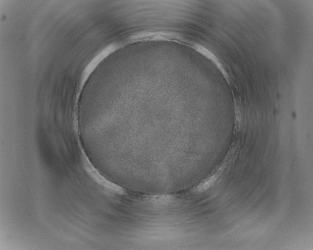 X0000076271090200610122249