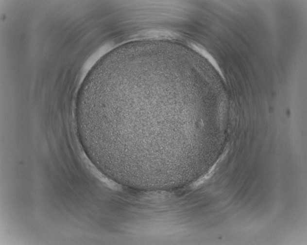 X0000076271091200610122249