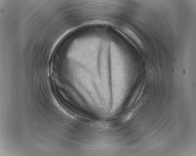 X0000076271092200610122249