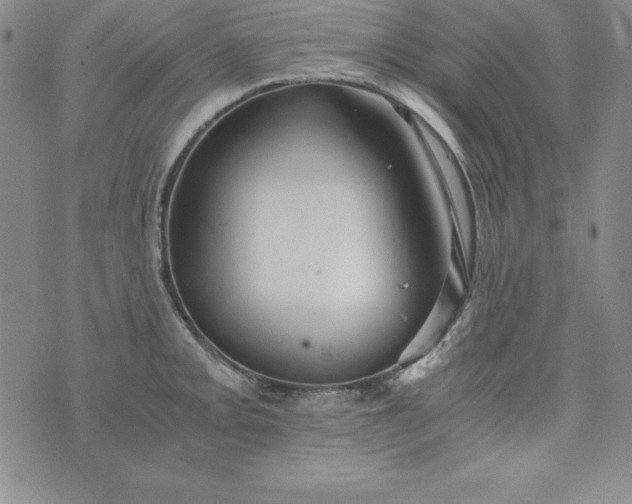 X0000076271093200610122249