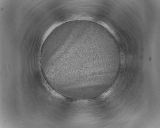 X0000076271094200610122249