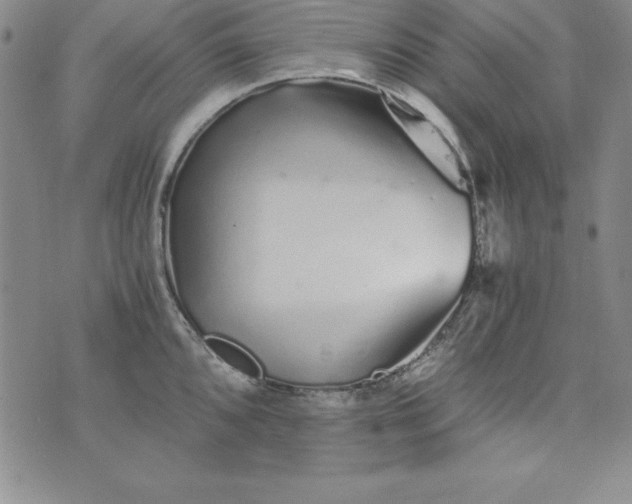 X0000076271096200610122249