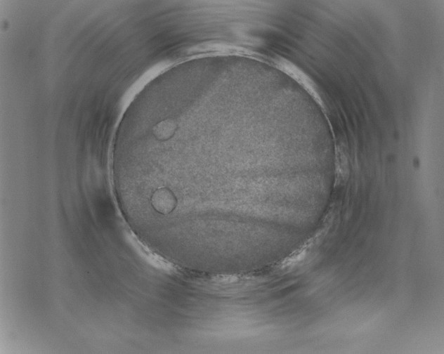 X0000076271098200610122249