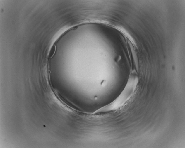 X0000076271100200610122249