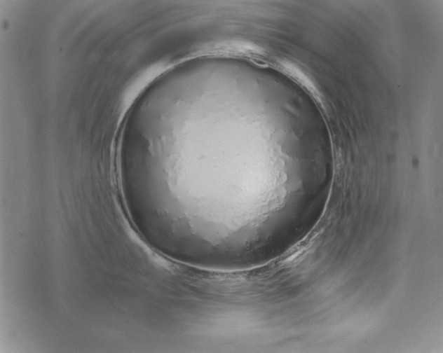 X0000076271103200610122249