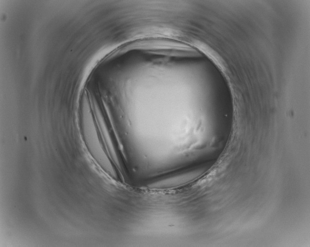 X0000076271104200610122249