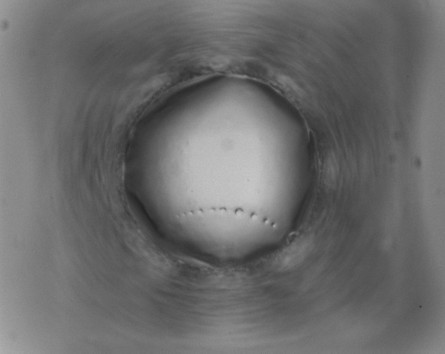 X0000076271105200610122248