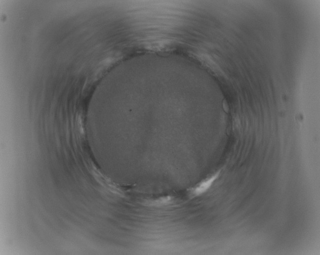 X0000076271106200610122248