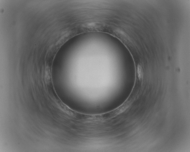 X0000076271107200610122248