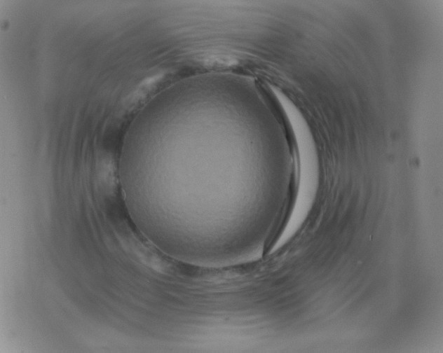 X0000076271108200610122248