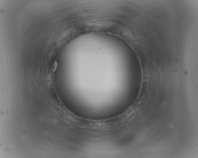 X0000076271109200610122248