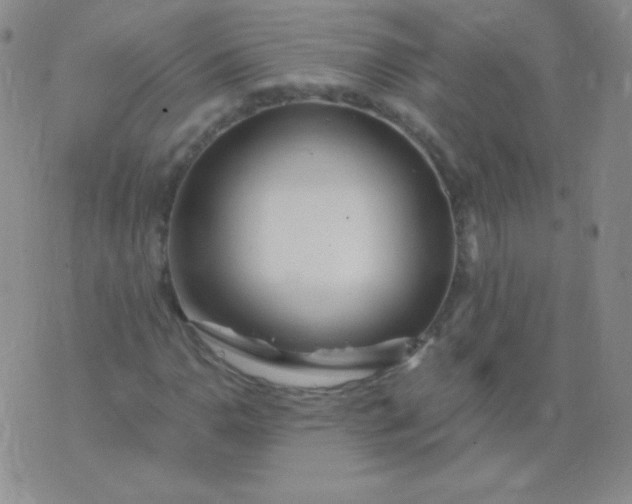 X0000076271110200610122248