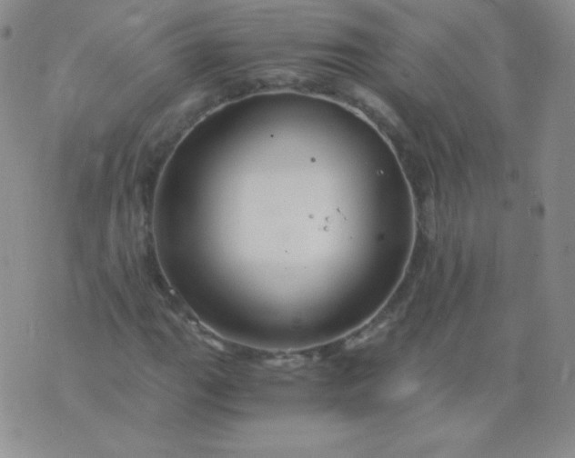 X0000076271111200610122248