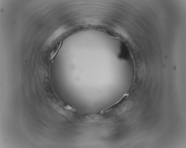 X0000076271112200610122248