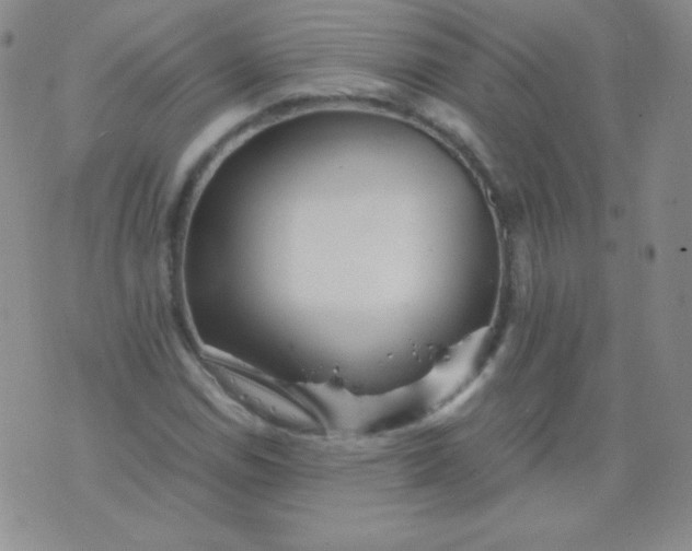 X0000076271114200610122248