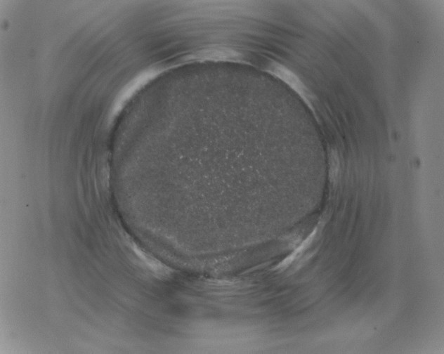 X0000076271115200610122248